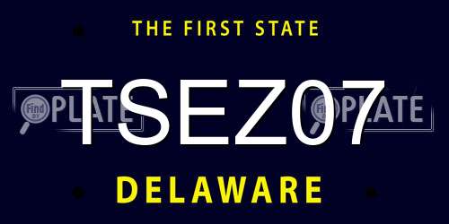 TSEZ07 Delaware License Plate