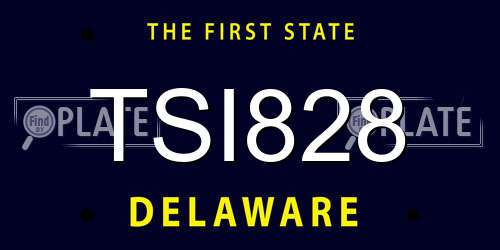 TSI828 Delaware License Plate