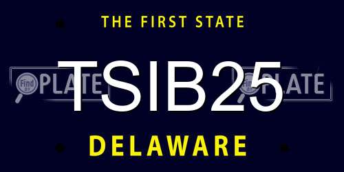 TSIB25 Delaware License Plate