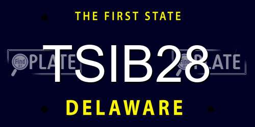 TSIB28 Delaware License Plate