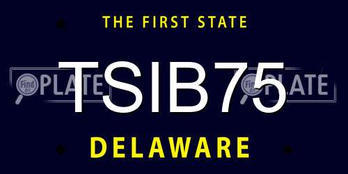 TSIB75 Delaware License Plate