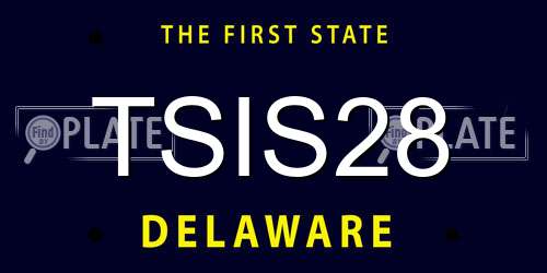 TSIS28 Delaware License Plate