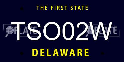 TSO02W Delaware License Plate