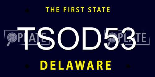 TSOD53 Delaware License Plate