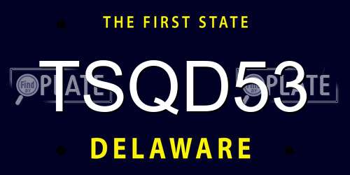 TSQD53 Delaware License Plate