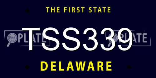 TSS339 Delaware License Plate