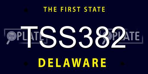 TSS382 Delaware License Plate