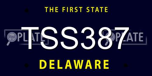 TSS387 Delaware License Plate