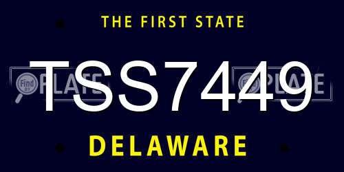 TSS7449 Delaware License Plate