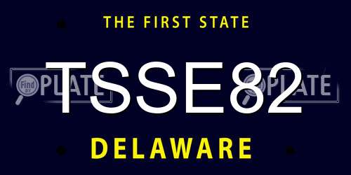 TSSE82 Delaware License Plate