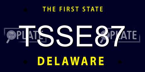TSSE87 Delaware License Plate