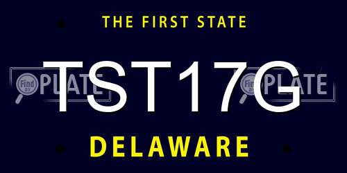 TST17G Delaware License Plate