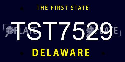 TST7529 Delaware License Plate