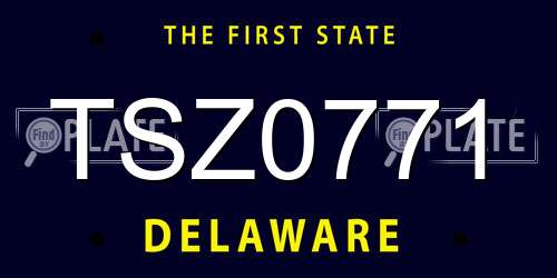 TSZ0771 Delaware License Plate