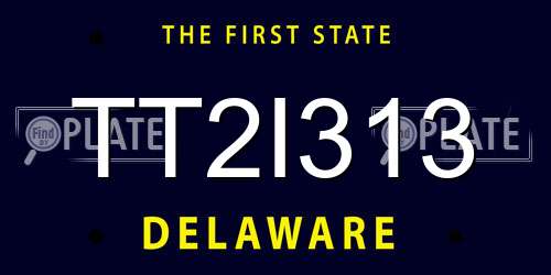 TT2I313 Delaware License Plate