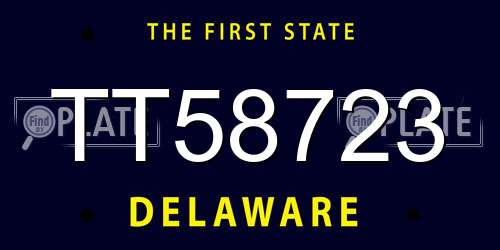 TT58723 Delaware License Plate