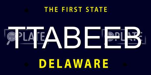 TTABEEB Delaware License Plate