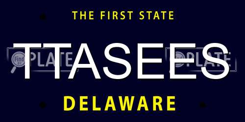 TTASEES Delaware License Plate