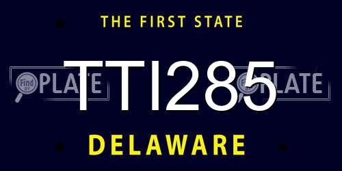 TTI285 Delaware License Plate