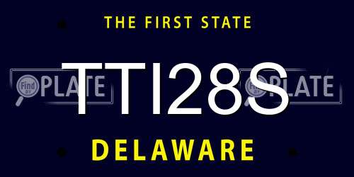 TTI28S Delaware License Plate