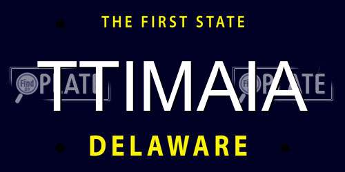 TTIMAIA Delaware License Plate