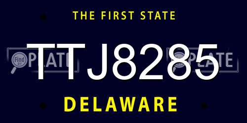 TTJ8285 Delaware License Plate