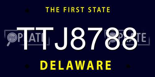TTJ8788 Delaware License Plate
