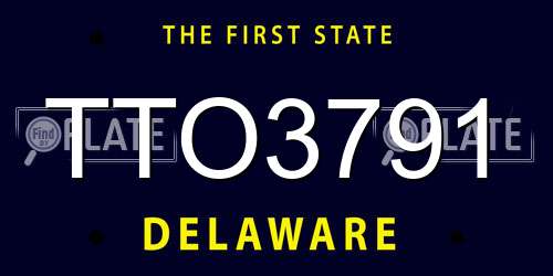 TTO3791 Delaware License Plate