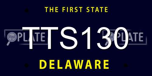 TTS130 Delaware License Plate
