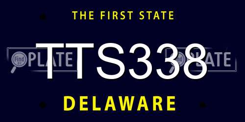 TTS338 Delaware License Plate