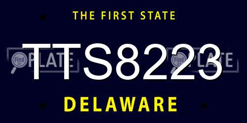 TTS8223 Delaware License Plate
