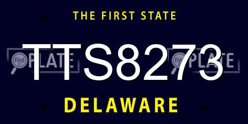 TTS8273 Delaware License Plate