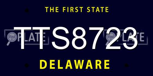 TTS8723 Delaware License Plate