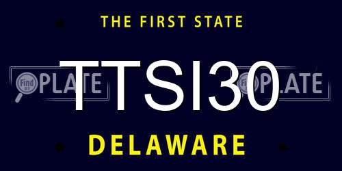 TTSI30 Delaware License Plate
