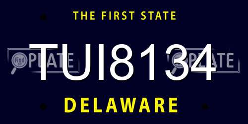 TUI8134 Delaware License Plate