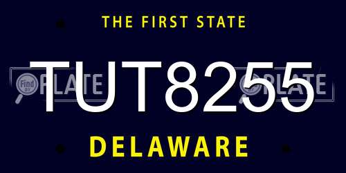 TUT8255 Delaware License Plate