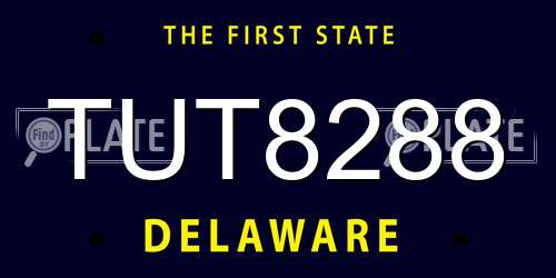 TUT8288 Delaware License Plate