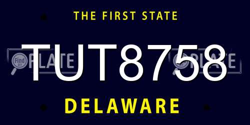 TUT8758 Delaware License Plate