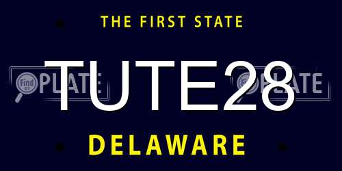 TUTE28 Delaware License Plate