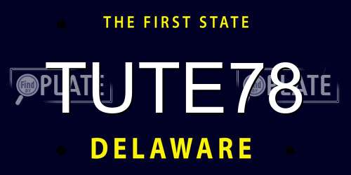 TUTE78 Delaware License Plate