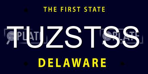 TUZSTSS Delaware License Plate