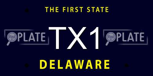 TX1 Delaware License Plate