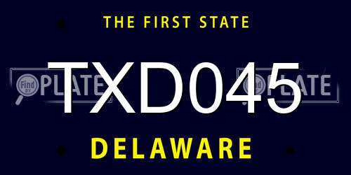 TXD045 Delaware License Plate