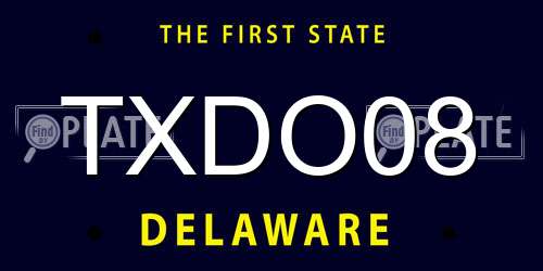 TXDO08 Delaware License Plate