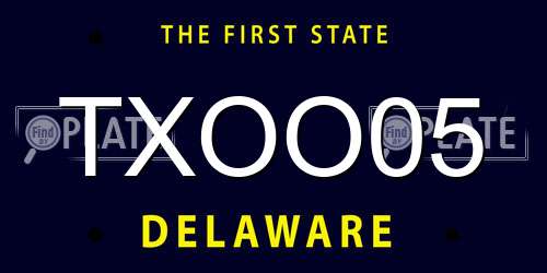 TXOO05 Delaware License Plate