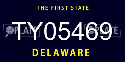 TY05469 Delaware License Plate