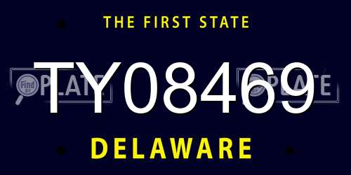 TY08469 Delaware License Plate