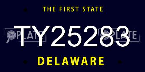 TY25283 Delaware License Plate