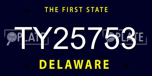 TY25753 Delaware License Plate