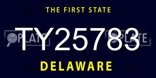 TY25783 Delaware License Plate